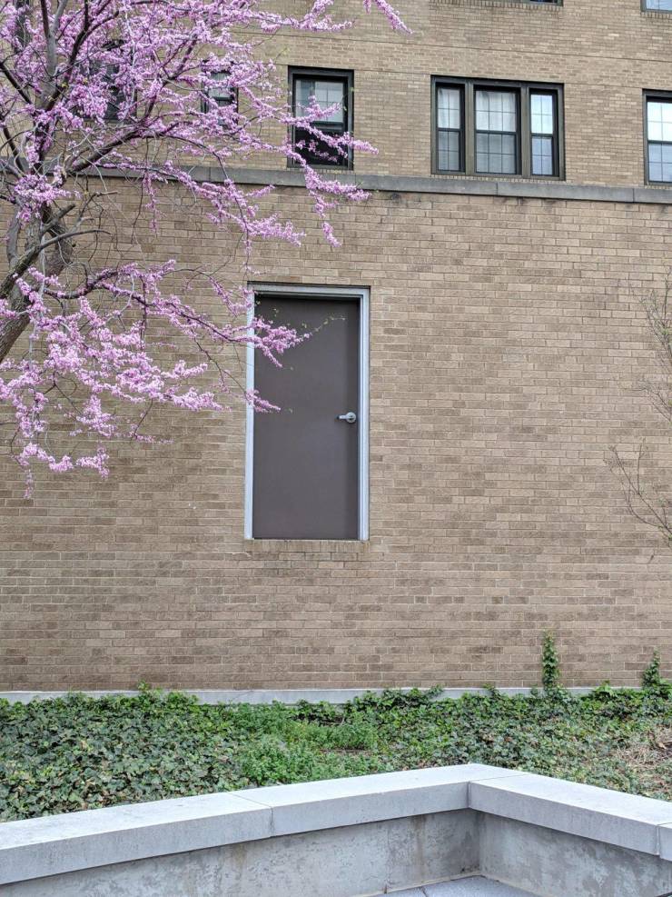 daily picdump 92 pics 38.html - 92 HD Photos | Premium Gallery 2019