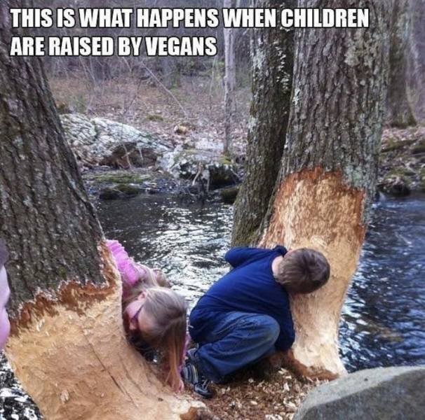 funny picdump 52 pics 21.html - 52 HD Photos | Premium Gallery 2019