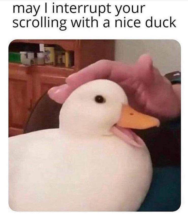 funny picdump 52 pics 21.html - 52 HD Photos | Premium Gallery 2019