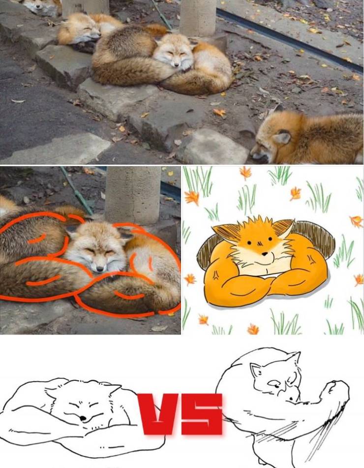 funny picdump 52 pics 21.html - 52 HD Photos | Premium Gallery 2019