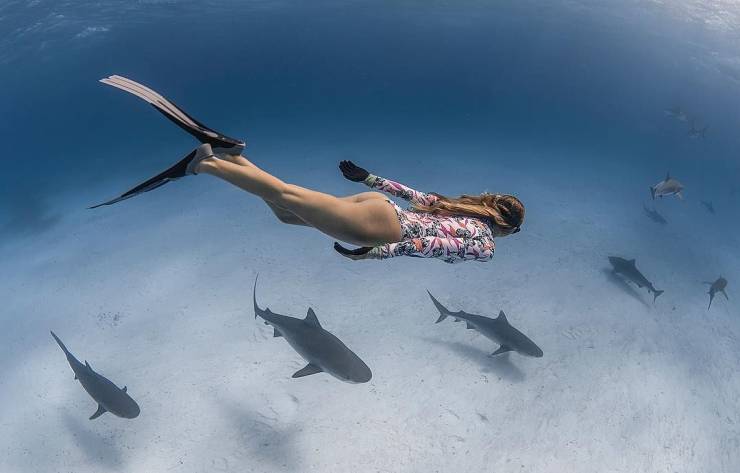 grownup corner 61 pics 1.html - 61 HD Photos | Premium Gallery 2019