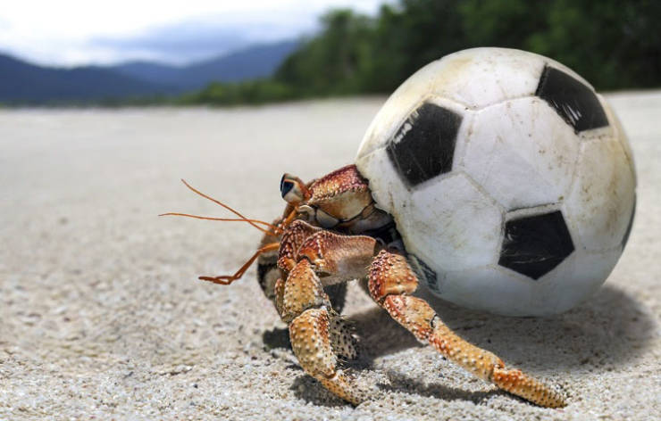 Pollution Must Stop!