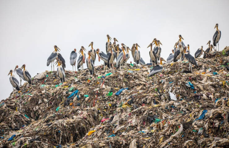 Pollution Must Stop!