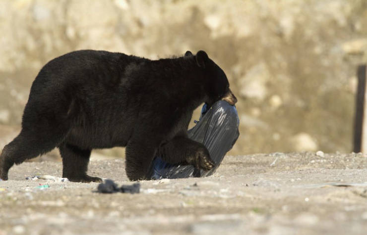 Pollution Must Stop!