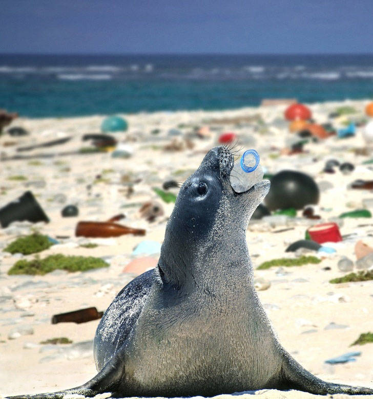 Pollution Must Stop!