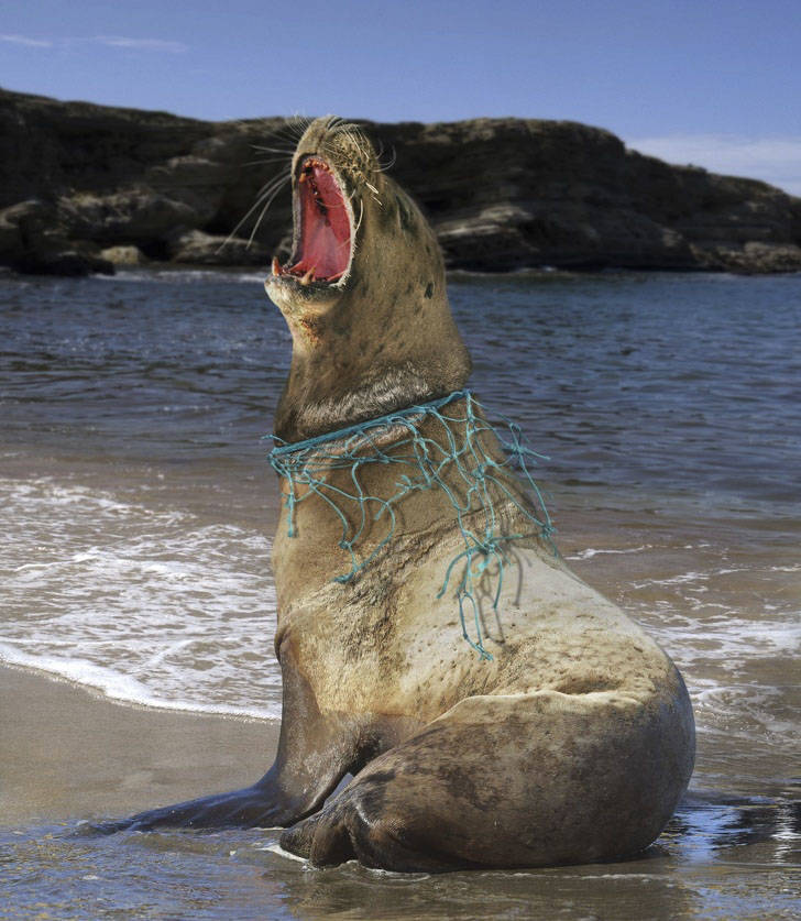 Pollution Must Stop!