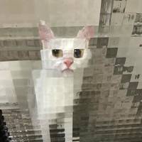 its time for dat rump 36 pics.html - 36 HD Photos | Premium Gallery 2016