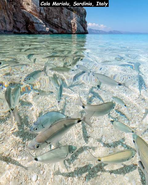 page,22,top 750 daily pics of the year 2019.html - 1 HD Photos | Premium Gallery 2019