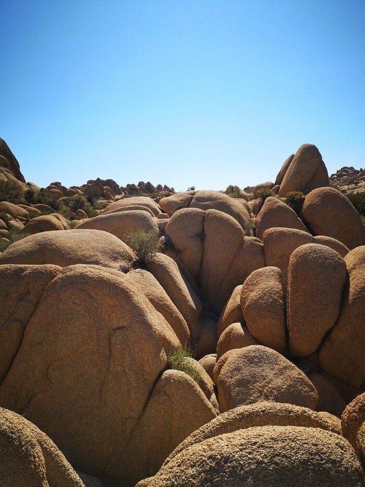 Dirty Mind, Come Here!