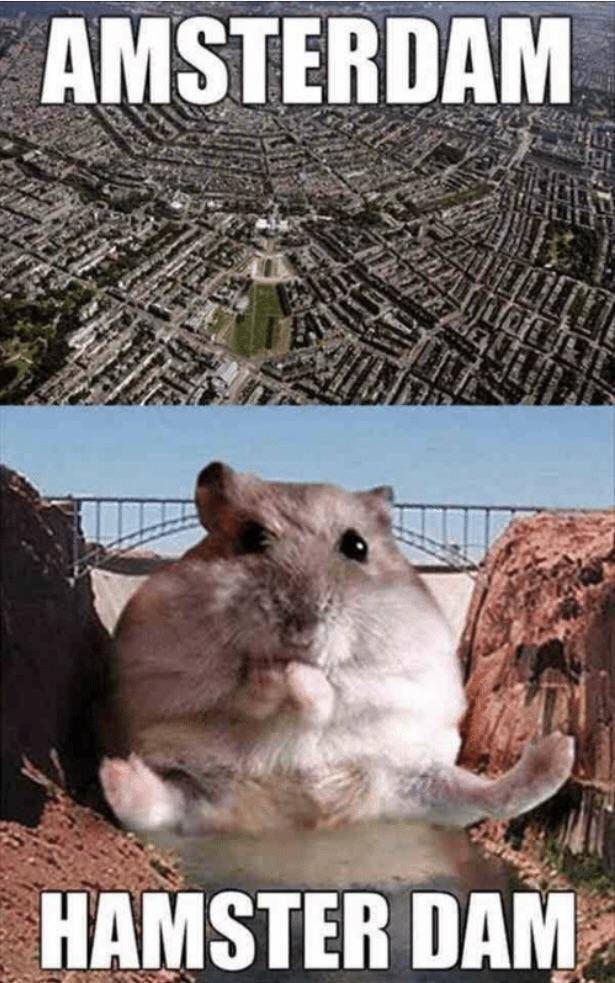 funny picdump 54 pics 18.html - 54 HD Photos | Premium Gallery 2019