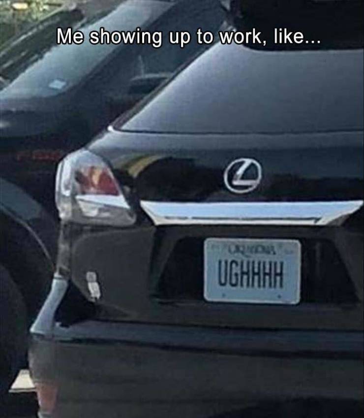 funny picdump 54 pics 18.html - 54 HD Photos | Premium Gallery 2019