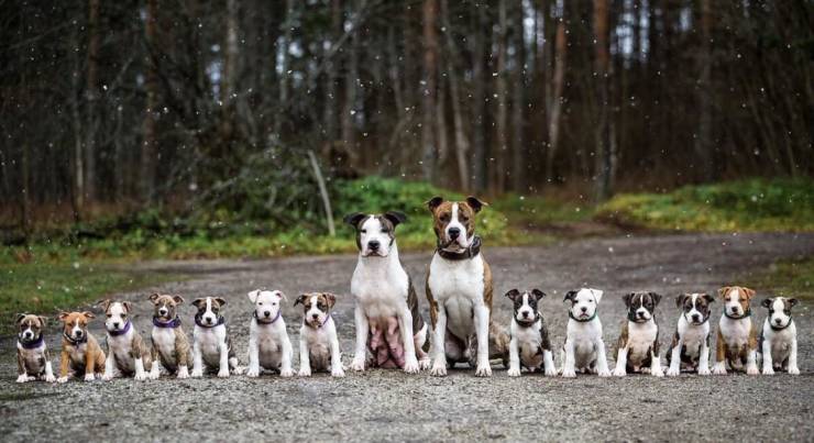 page,6,top 250 morning pics of the year 2019.html - 1 HD Photos | Premium Gallery 2019