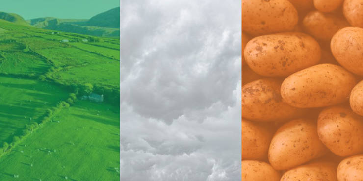 page,2,top 100 interesting pics of the year 2019.html - 1 HD Photos | Premium Gallery 2019