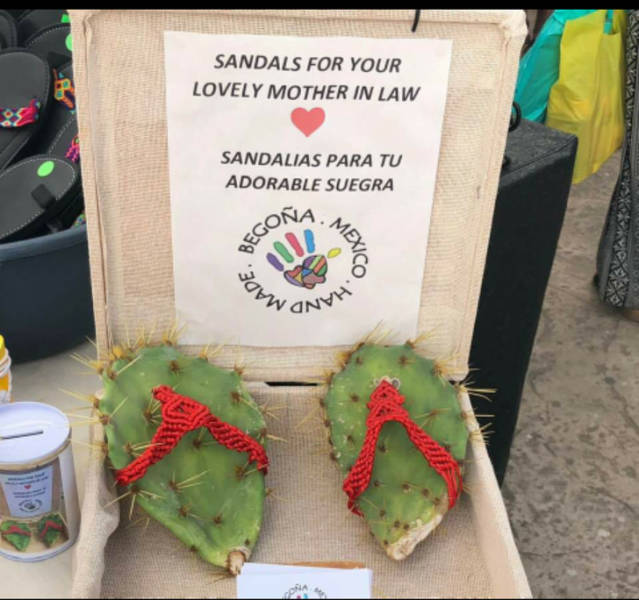 page,2,top 100 interesting pics of the year 2019.html - 1 HD Photos | Premium Gallery 2019