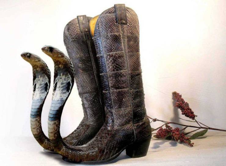 Sometimes You Just Can’t Explain…