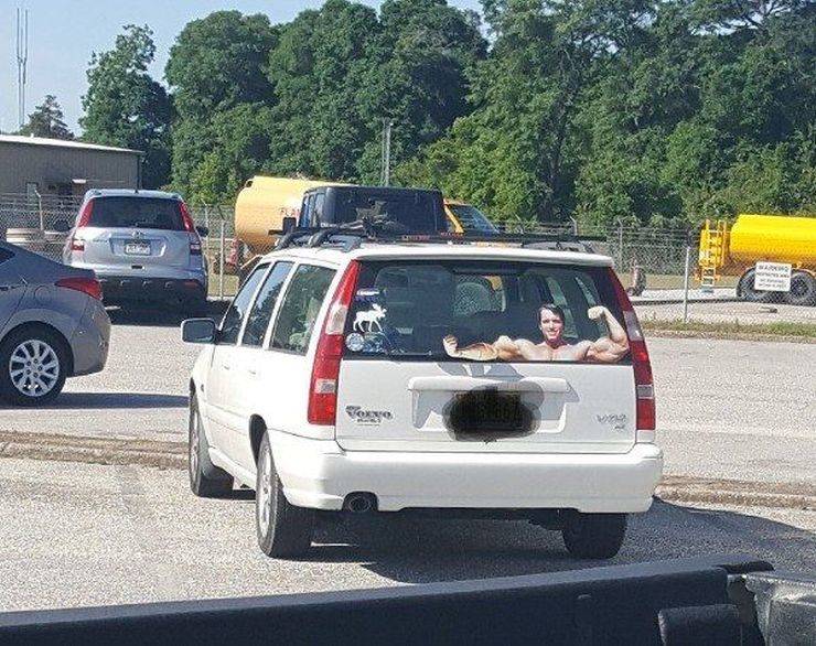 daily picdump 100 pics 36.html - 100 HD Photos | Premium Gallery 2019