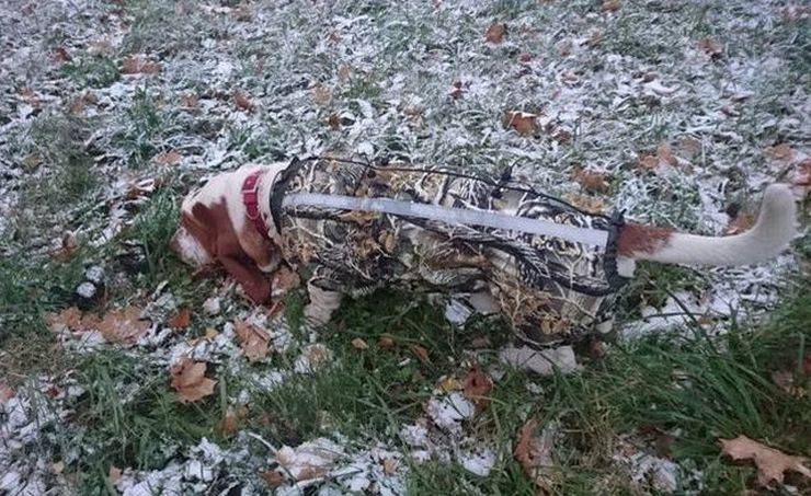 daily picdump 100 pics 36.html - 100 HD Photos | Premium Gallery 2019