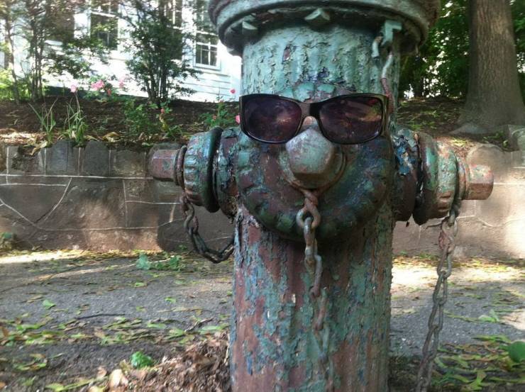 daily picdump 100 pics 36.html - 100 HD Photos | Premium Gallery 2019