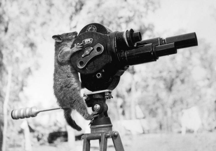 daily picdump 100 pics 36.html - 100 HD Photos | Premium Gallery 2019