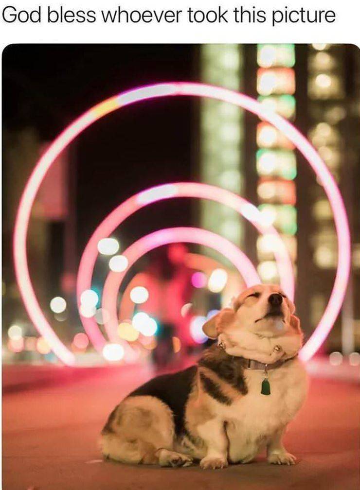 daily picdump 100 pics 36.html - 100 HD Photos | Premium Gallery 2019