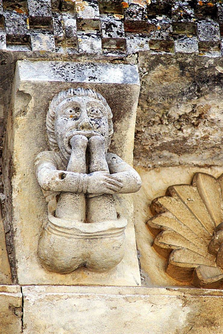 daily picdump 100 pics 36.html - 100 HD Photos | Premium Gallery 2019