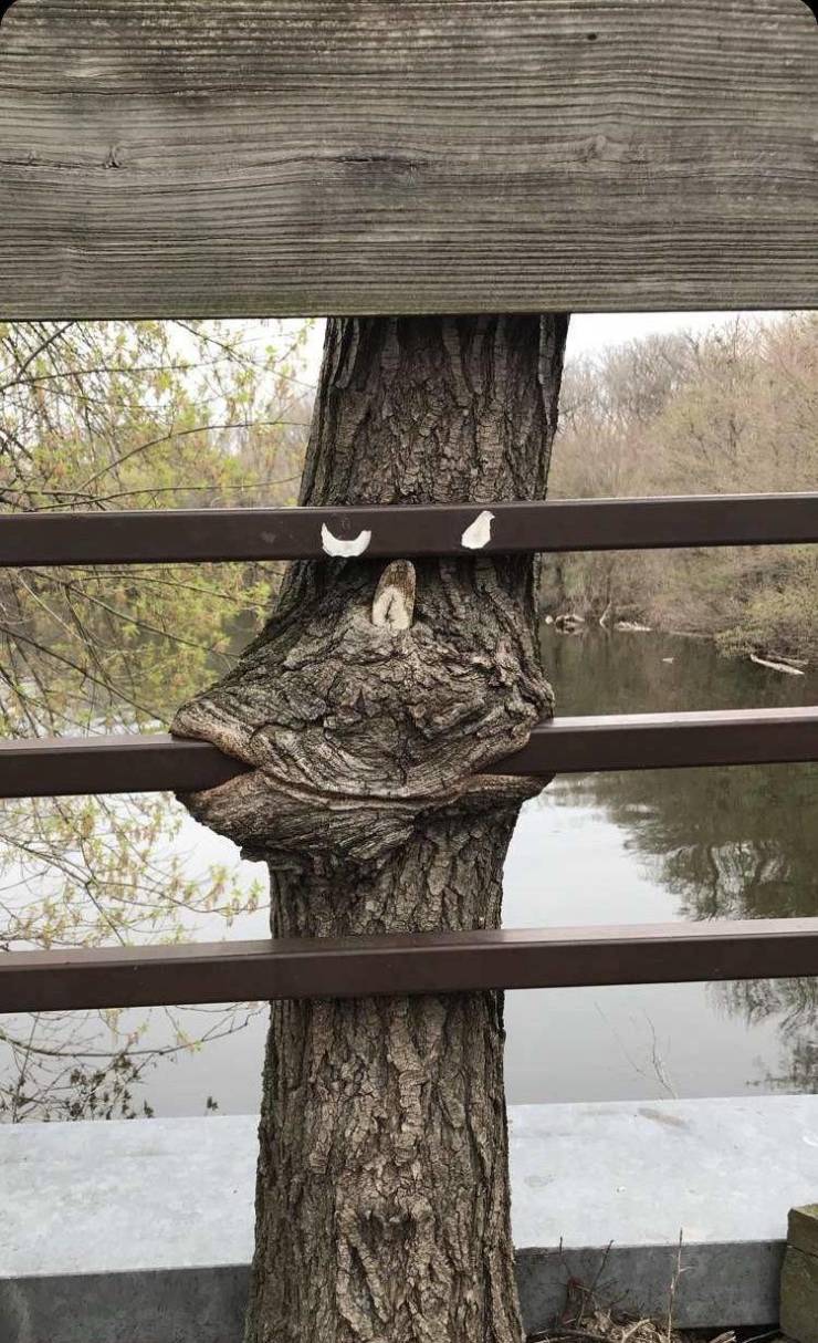 daily picdump 100 pics 36.html - 100 HD Photos | Premium Gallery 2019