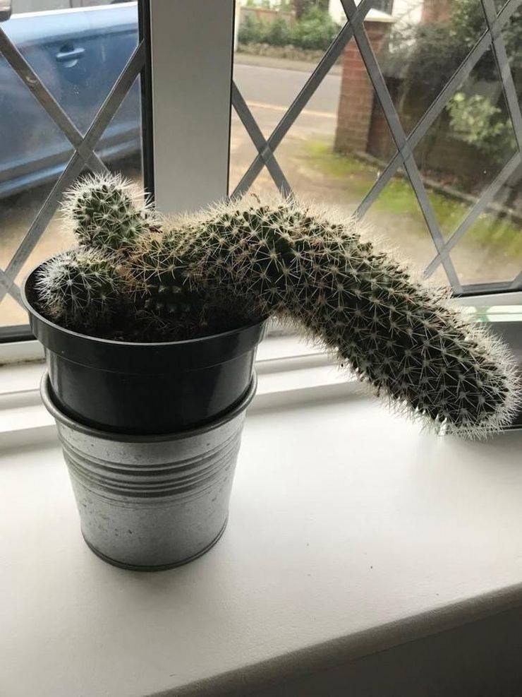 daily picdump 100 pics 36.html - 100 HD Photos | Premium Gallery 2019