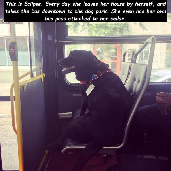 page,3,top 750 daily pics of the year 2019.html - 1 HD Photos | Premium Gallery 2019