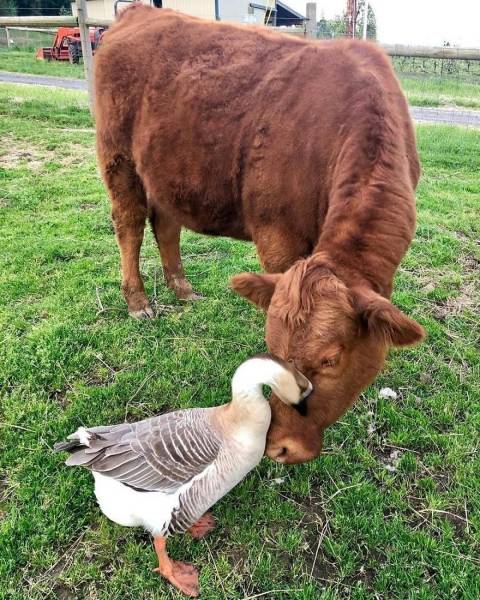 page,22,top 750 daily pics of the year 2019.html - 1 HD Photos | Premium Gallery 2019