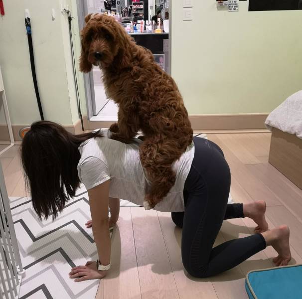 funny picdump 52 pics 8.html - 52 HD Photos | Premium Gallery 2019