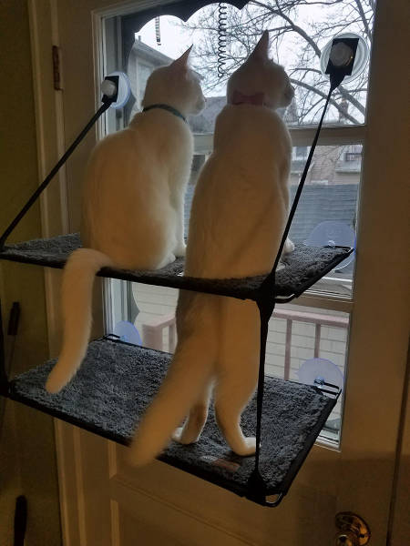 page,6,top 250 morning pics of the year 2019.html - 1 HD Photos | Premium Gallery 2019