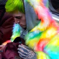 owner saves his dog from pit bulls video.html - 1 HD Video | Premium Gallery 2020