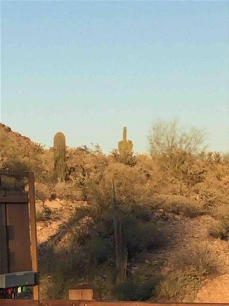 Dirty Mind, Come Here!