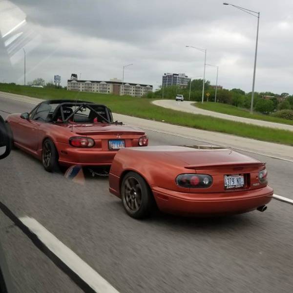 Questionable Idea, Perfect Execution