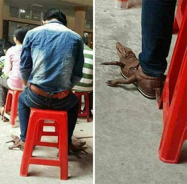 Questionable Idea, Perfect Execution