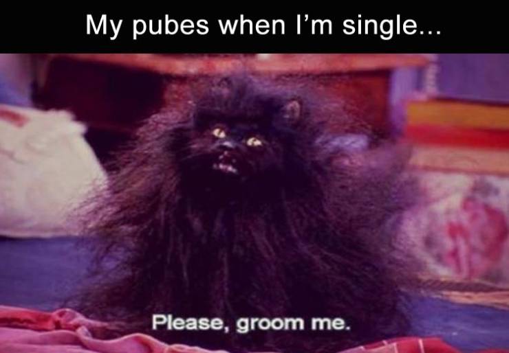 funny picdump 52 pics 15.html - 52 HD Photos | Premium Gallery 2019