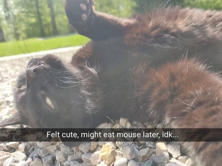 funny picdump 52 pics 15.html - 52 HD Photos | Premium Gallery 2019