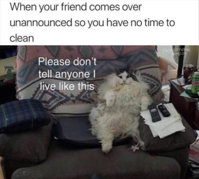 funny picdump 52 pics 15.html - 52 HD Photos | Premium Gallery 2019