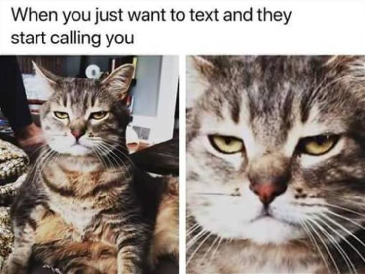 funny picdump 52 pics 15.html - 52 HD Photos | Premium Gallery 2019