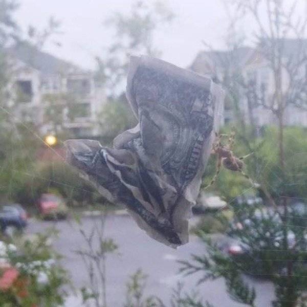 And That Will Be A NOPE