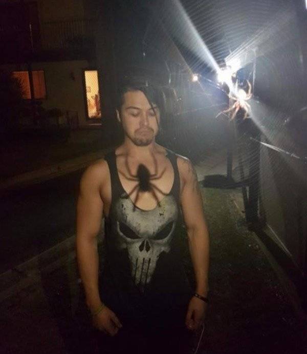 And That Will Be A NOPE