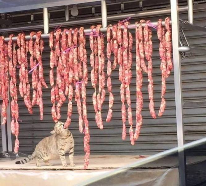 page,23,top 750 daily pics of the year 2019.html - 1 HD Photos | Premium Gallery 2019