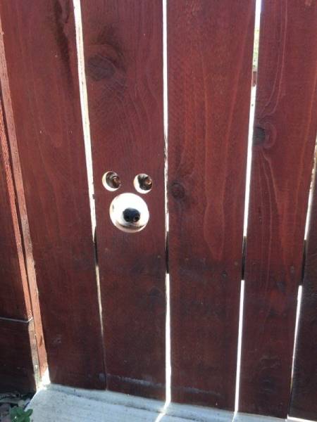 page,2,top 100 animals pics of the year 2019.html - 1 HD Photos | Premium Gallery 2019