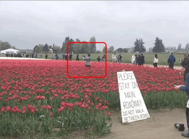 Trash… Trash Everywhere