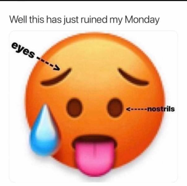 funny picdump 53 pics 21.html - 53 HD Photos | Premium Gallery 2019