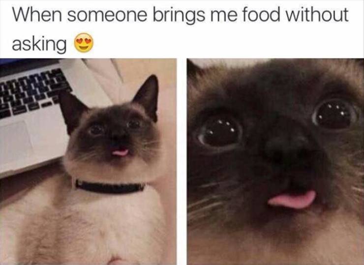 funny picdump 53 pics 21.html - 53 HD Photos | Premium Gallery 2019