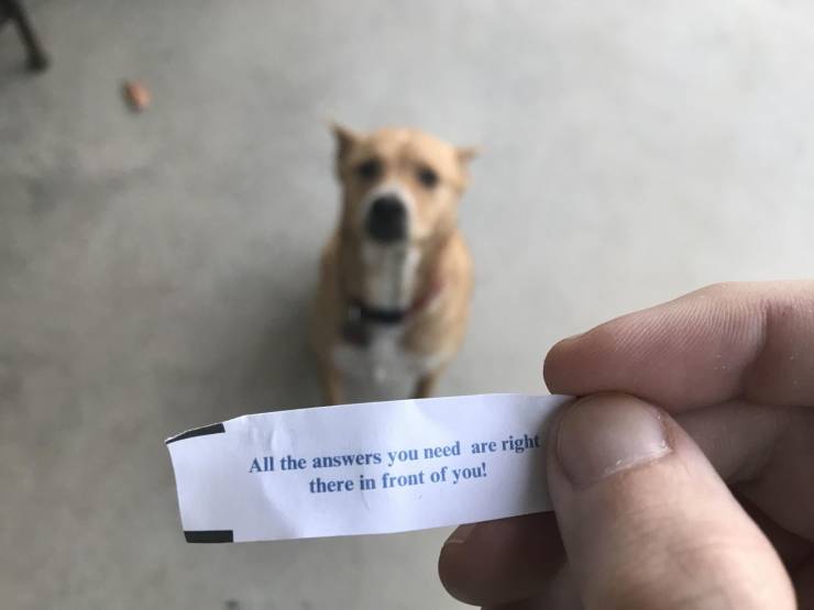 daily picdump 96 pics 8.html - 96 HD Photos | Premium Gallery 2019