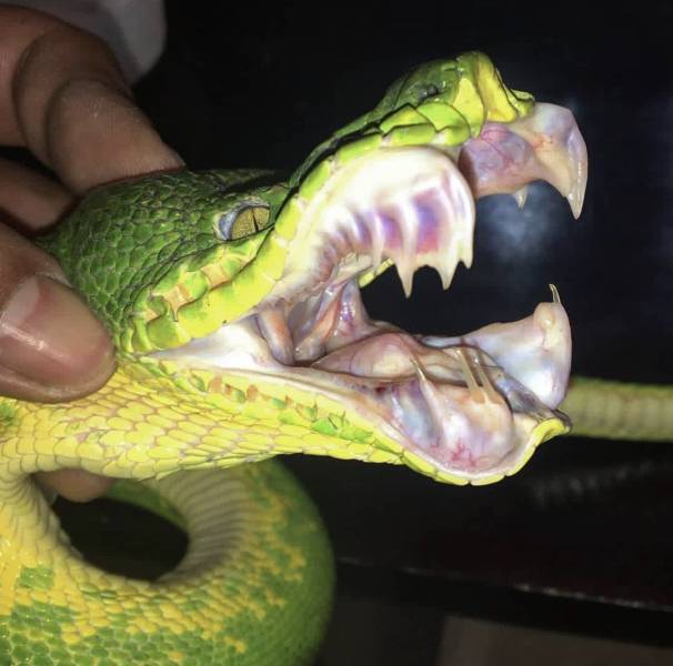 daily picdump 96 pics 8.html - 96 HD Photos | Premium Gallery 2019