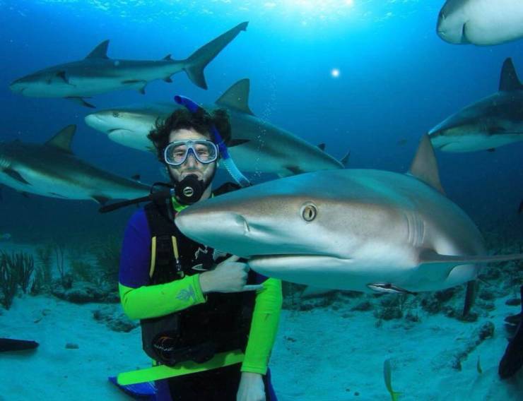 daily picdump 96 pics 8.html - 96 HD Photos | Premium Gallery 2019