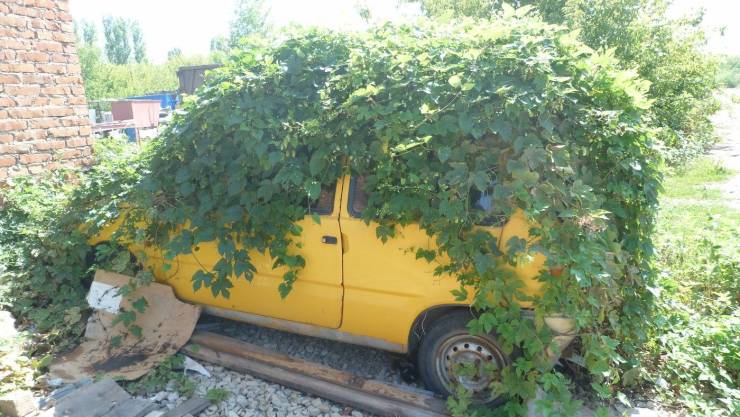 daily picdump 96 pics 8.html - 96 HD Photos | Premium Gallery 2019